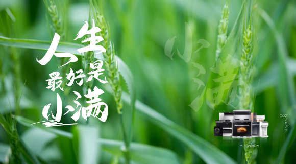 科恩集成灶
