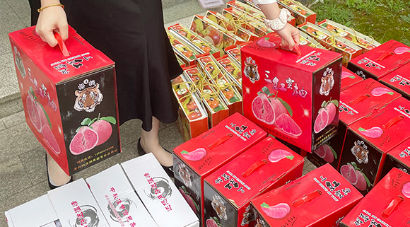 科恩集成灶